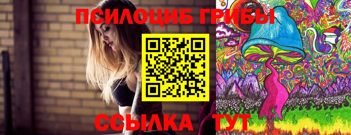 Ржев  Псилоцибиновые грибы Psilocybine cubensis  Вход с VPN 