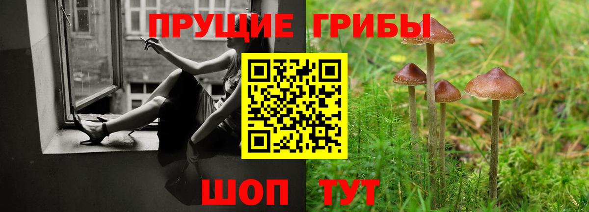 Галлюциногенные грибы MAGIC MUSHROOMS Ржев